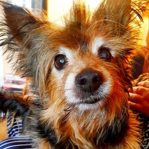 Meet your Posher, Gabriella